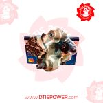 LBZ/LMM 0 986 437 332 CP3 REMANUFACTURED BY BOSCH DIESEL INJECTION PUMP (2006 – 2007 1/2)